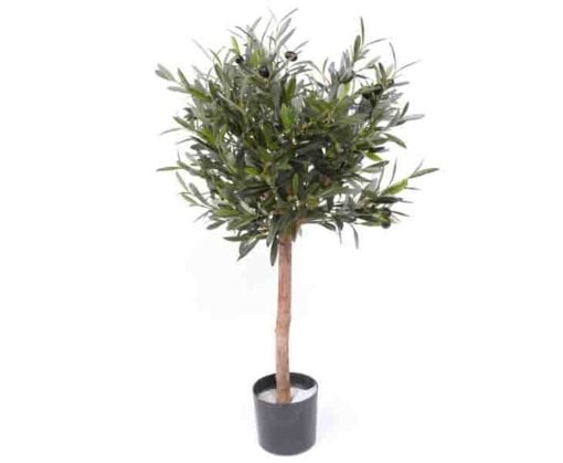 Køb Oliventræ 75 cm (1.040 blade) online billigt møbel