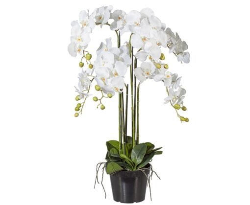 Køb Orkide 110 cm høj - kunstig kæmpe orkide online billigt møbel