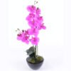 Køb Orkide 53 cm høj - kunstig orkide online billigt møbel