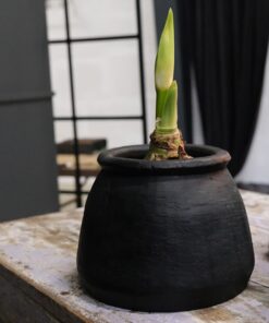 Køb Calp - Krukke i stenmel