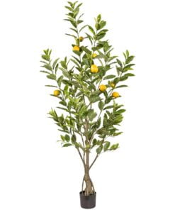 Køb Citrontræ 185 cm med 291 blade og 9 frugter online billigt møbel