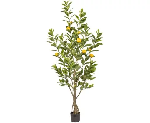 Køb Citrontræ 185 cm med 291 blade og 9 frugter online billigt møbel