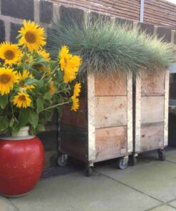 Køb Arizona - Opbevaringskasse i genbrugstræ